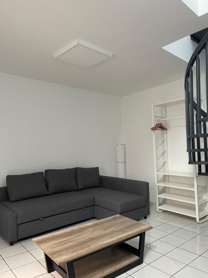 Nancy Hypercentre 34 Rue Des Dominicains !アパートメント エクステリア 写真